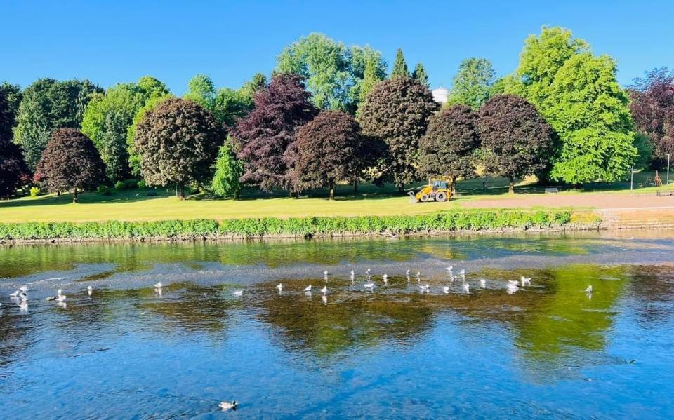 Stunning Period Townhouse With Garden, Walking Distance To Town Villa Dumfries Bagian luar foto